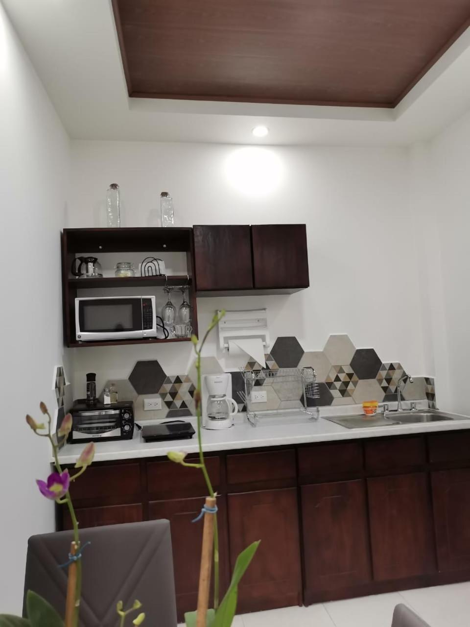 935 Lodge San Jose Zewnętrze zdjęcie